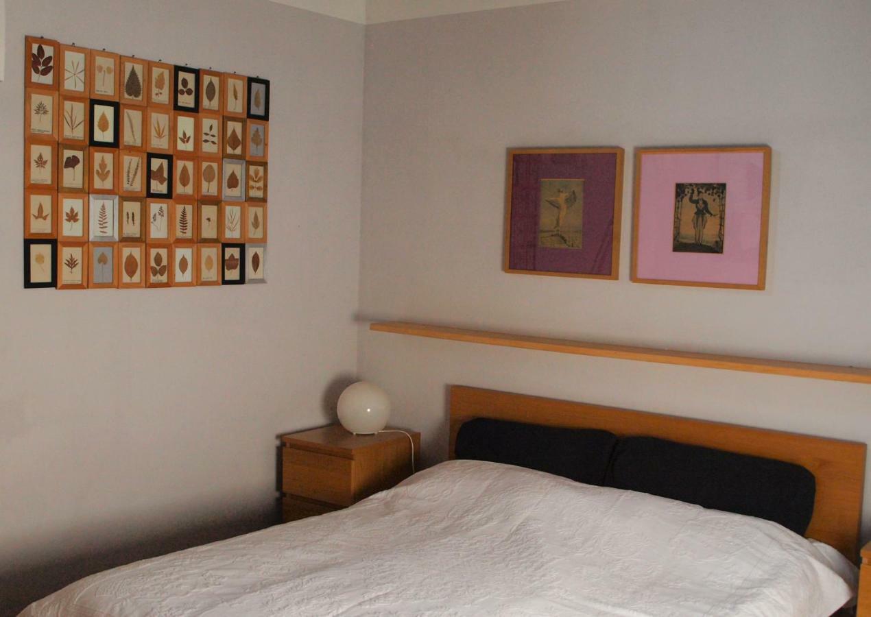 Poggio Magginga Apartment Terricciola Ngoại thất bức ảnh